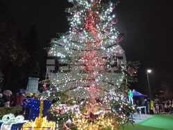 Снимка: Община Плевен