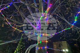 Костенец - запалване на светлините на елхата