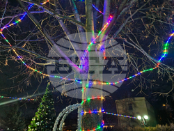 Костенец - запалване на светлините на елхата