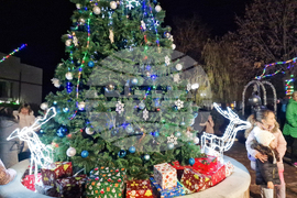 Костенец - запалване на светлините на елхата