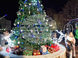 Костенец - запалване на светлините на елхата