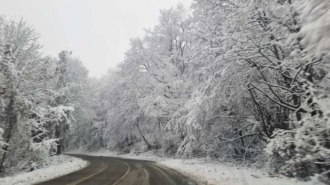 Въвежда се забрана за движение на моторни превозни средства по пътя от Троянския проход до хижа „Дерменка“