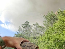 Снимка: Община Стара Загора