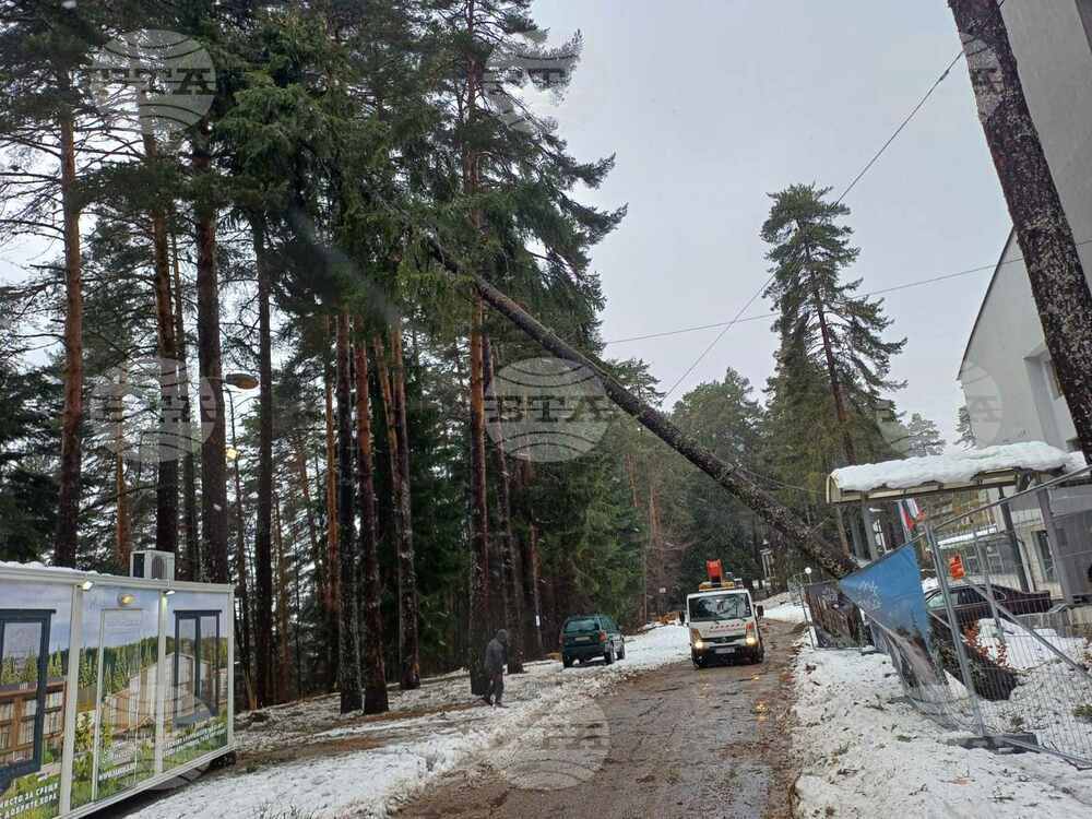 Служителите на Аварийното звено към Община Самоков са се отзовали на седем сигнала през почивните дни
