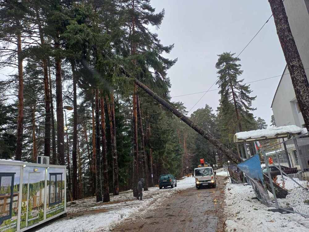 Служителите на Аварийното звено към Община Самоков са се отзовали на седем сигнала през почивните дни