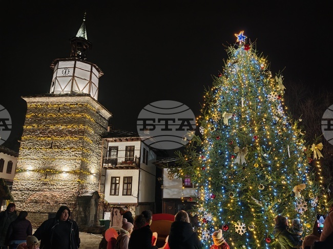 Грейна празничната елха в Трявна
