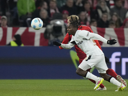 Germany Soccer Cup