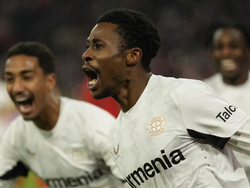 Germany Soccer Cup