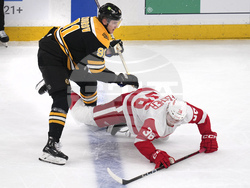 Red Wings Bruins Hockey