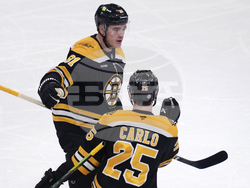 Red Wings Bruins Hockey