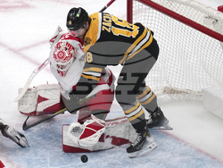 Red Wings Bruins Hockey