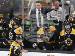 Red Wings Bruins Hockey
