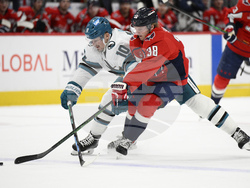 Sharks Capitals Hockey