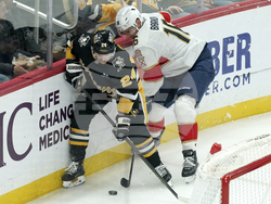 Panthers Penguins Hockey