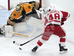 Red Wings Bruins Hockey