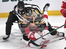 Red Wings Bruins Hockey