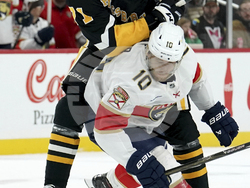 Panthers Penguins Hockey