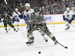 Canucks Wild Hockey