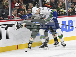 Canucks Wild Hockey