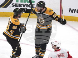 Red Wings Bruins Hockey