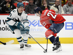 Sharks Capitals Hockey
