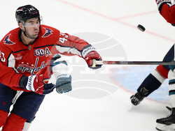 Sharks Capitals Hockey