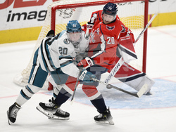 Sharks Capitals Hockey