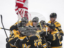 Red Wings Bruins Hockey