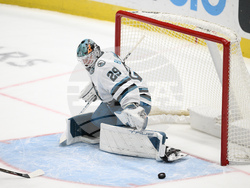 Sharks Capitals Hockey