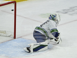 Canucks Wild Hockey