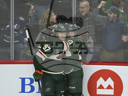 Canucks Wild Hockey