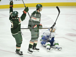 Canucks Wild Hockey