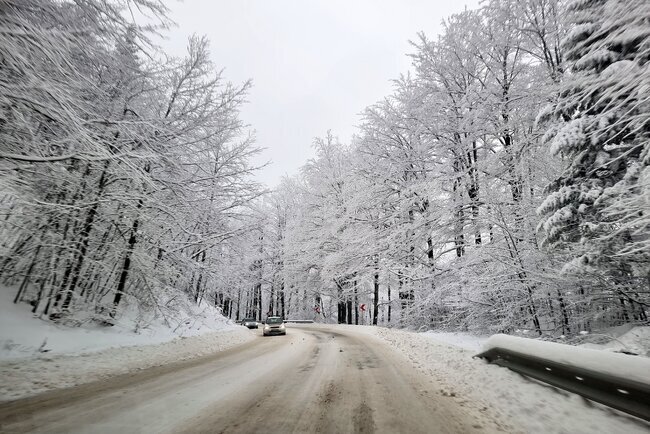 Две паднали дървета са отстранени през нощта от шосето Монтана-София в прохода Петрохан, проходът сега е отворен