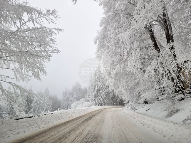 Пътищата в Монтанско са почистени и опесъчени и са проходими при зимни условия
