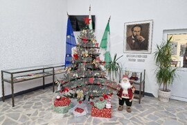 Разград - библиотека - Коледа