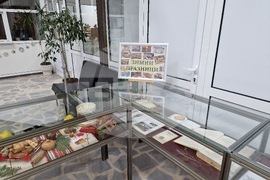 Разград - библиотека - Коледа