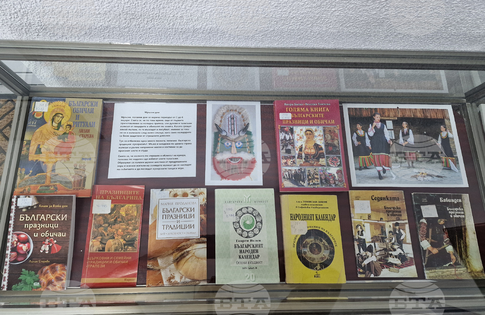 Разград - библиотека - Коледа