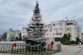 Търговище - градска елха - украса