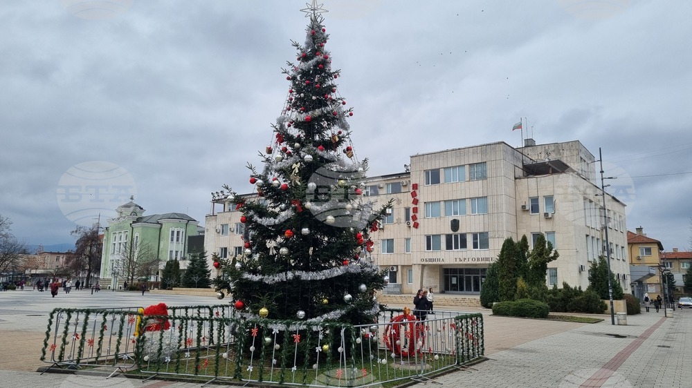 Търговище - градска елха - украса