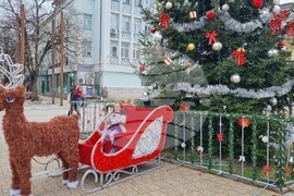 Търговище - градска елха - украса