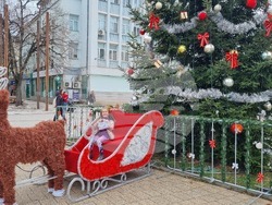 Търговище - градска елха - украса