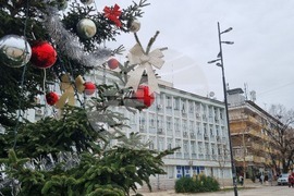 Търговище - градска елха - украса