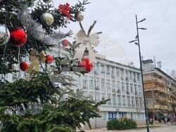 Търговище - градска елха - украса