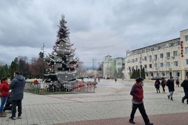 Търговище - градска елха - украса