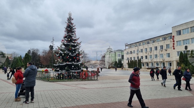 Търговище - градска елха - украса