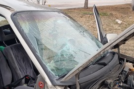 Пловдив - пътнотранспортно произшествие