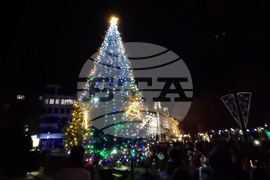 Русе - коледна елха