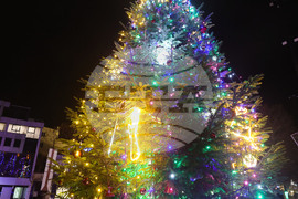 Русе - коледна елха