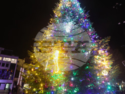 Русе - коледна елха