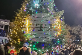 Русе - коледна елха